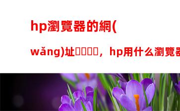 hp瀏覽器的網(wǎng)址，hp用什么瀏覽器好用